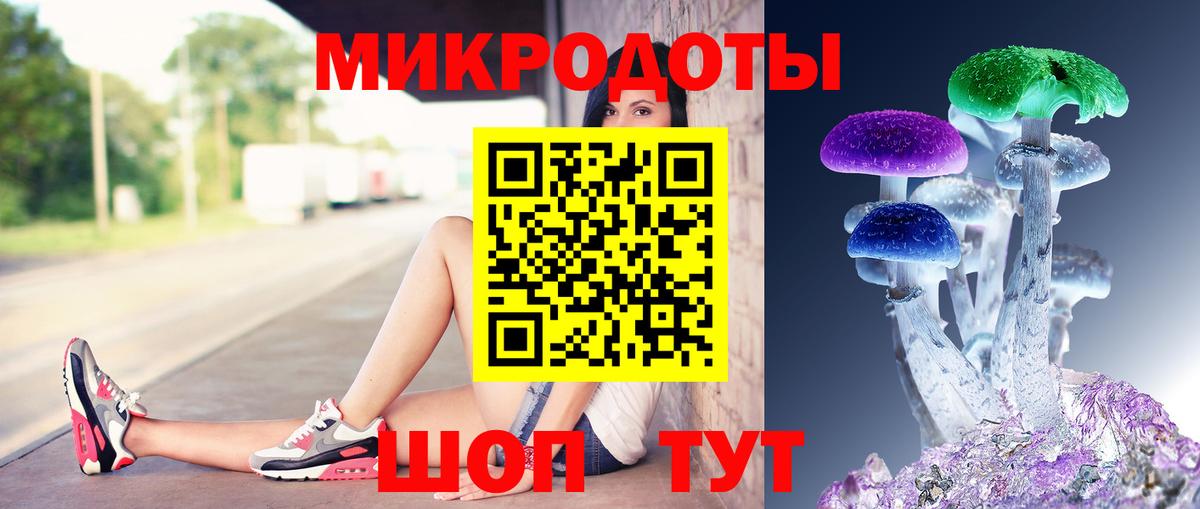Псилоцибиновые грибы прущие грибы  Вход с VPN  Глазов 